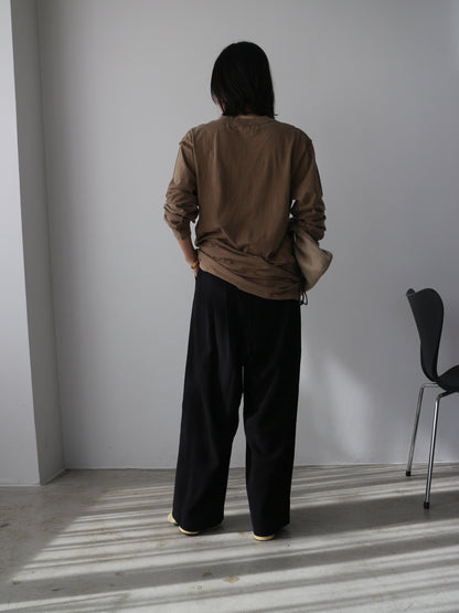 ピグメントロンT