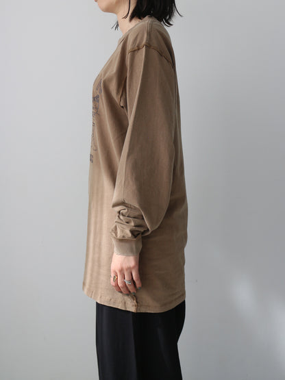 ピグメントロンT