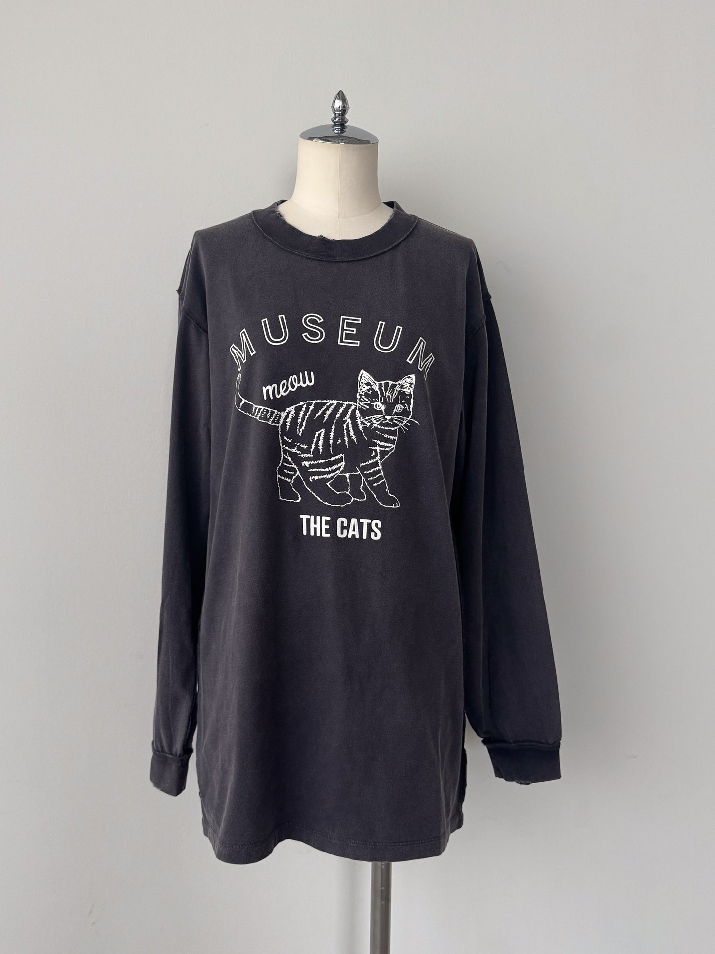 ピグメントロンT