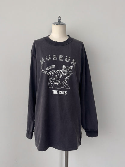 ピグメントロンT