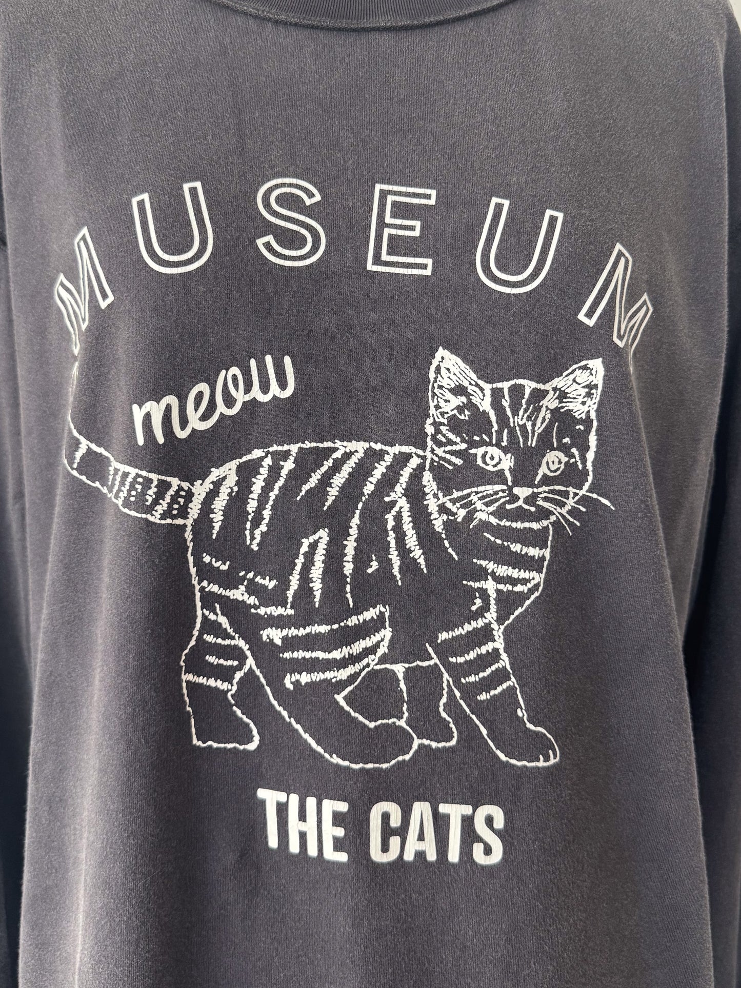 ピグメントロンT