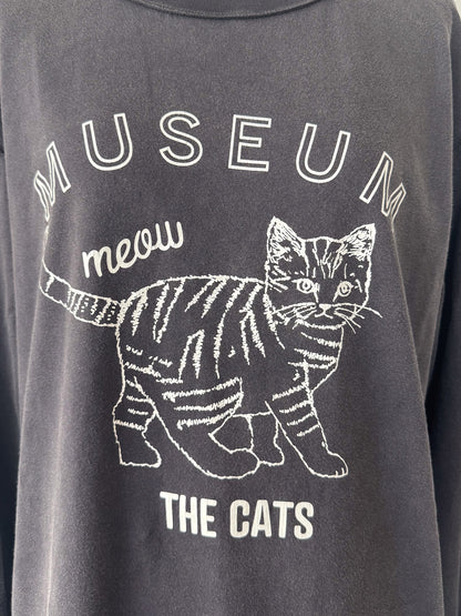 ピグメントロンT