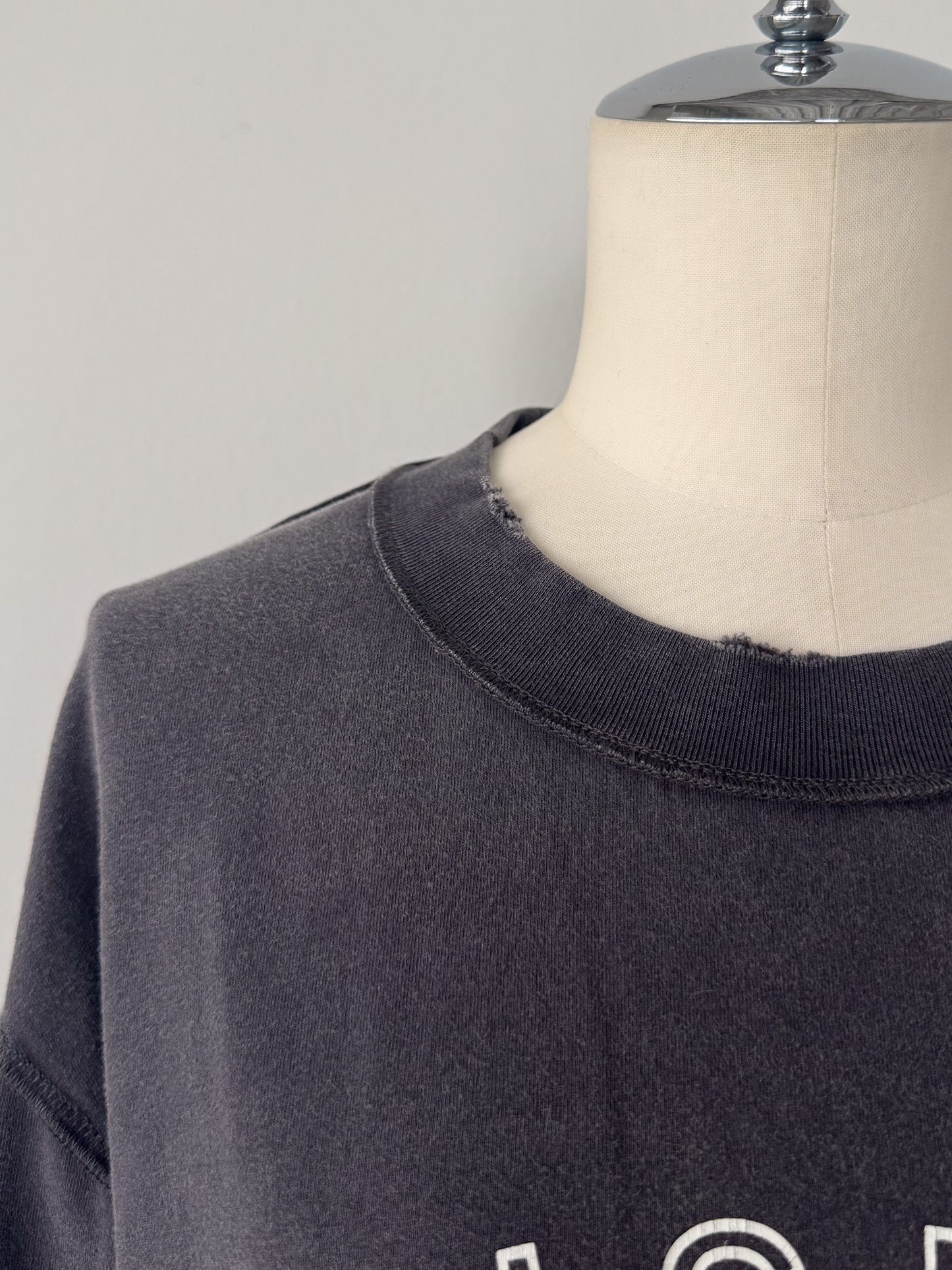 ピグメントロンT