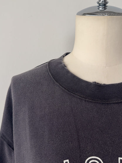 ピグメントロンT