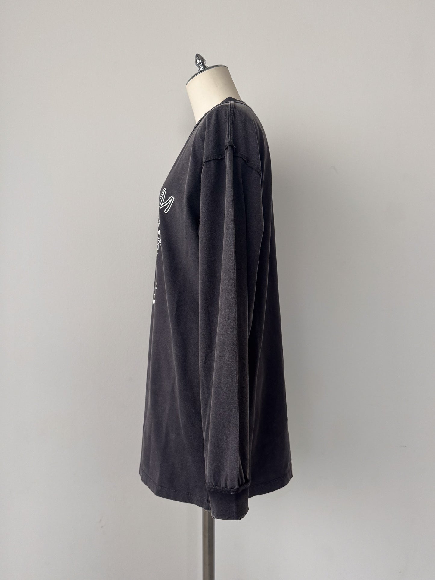 ピグメントロンT