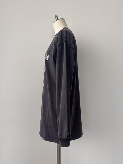 ピグメントロンT