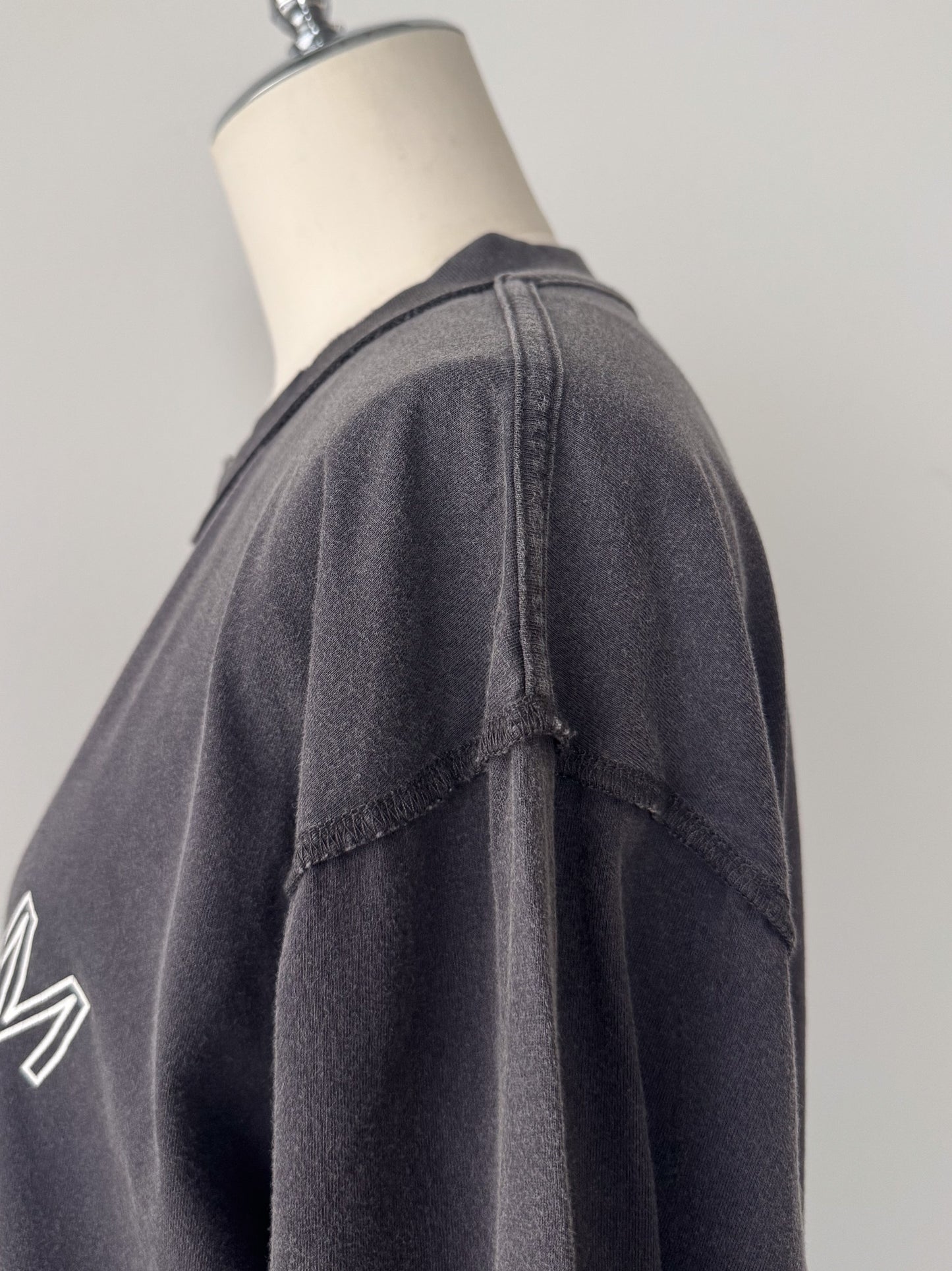 ピグメントロンT