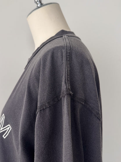 ピグメントロンT