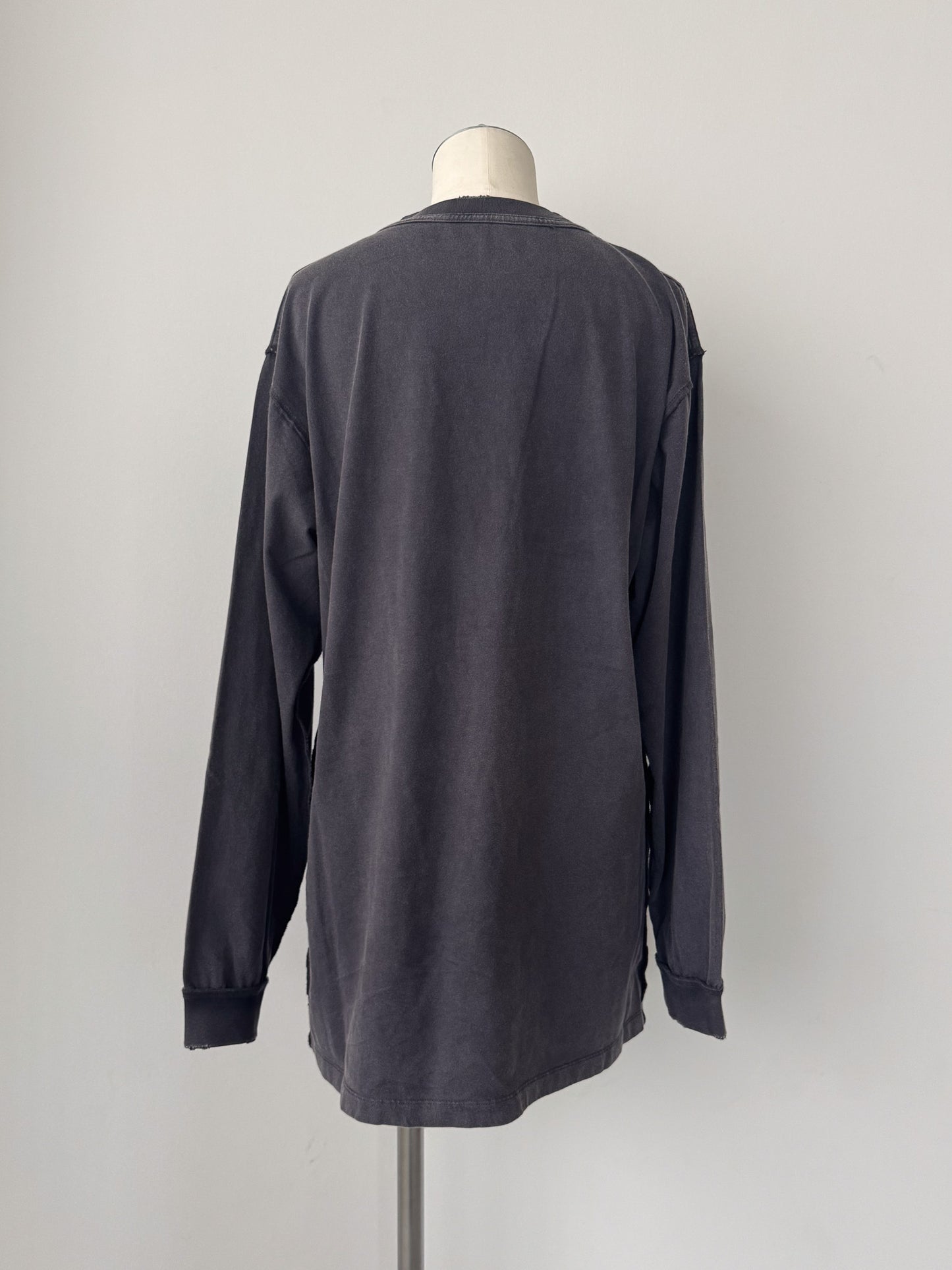 ピグメントロンT