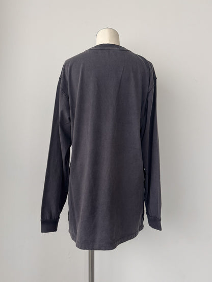 ピグメントロンT