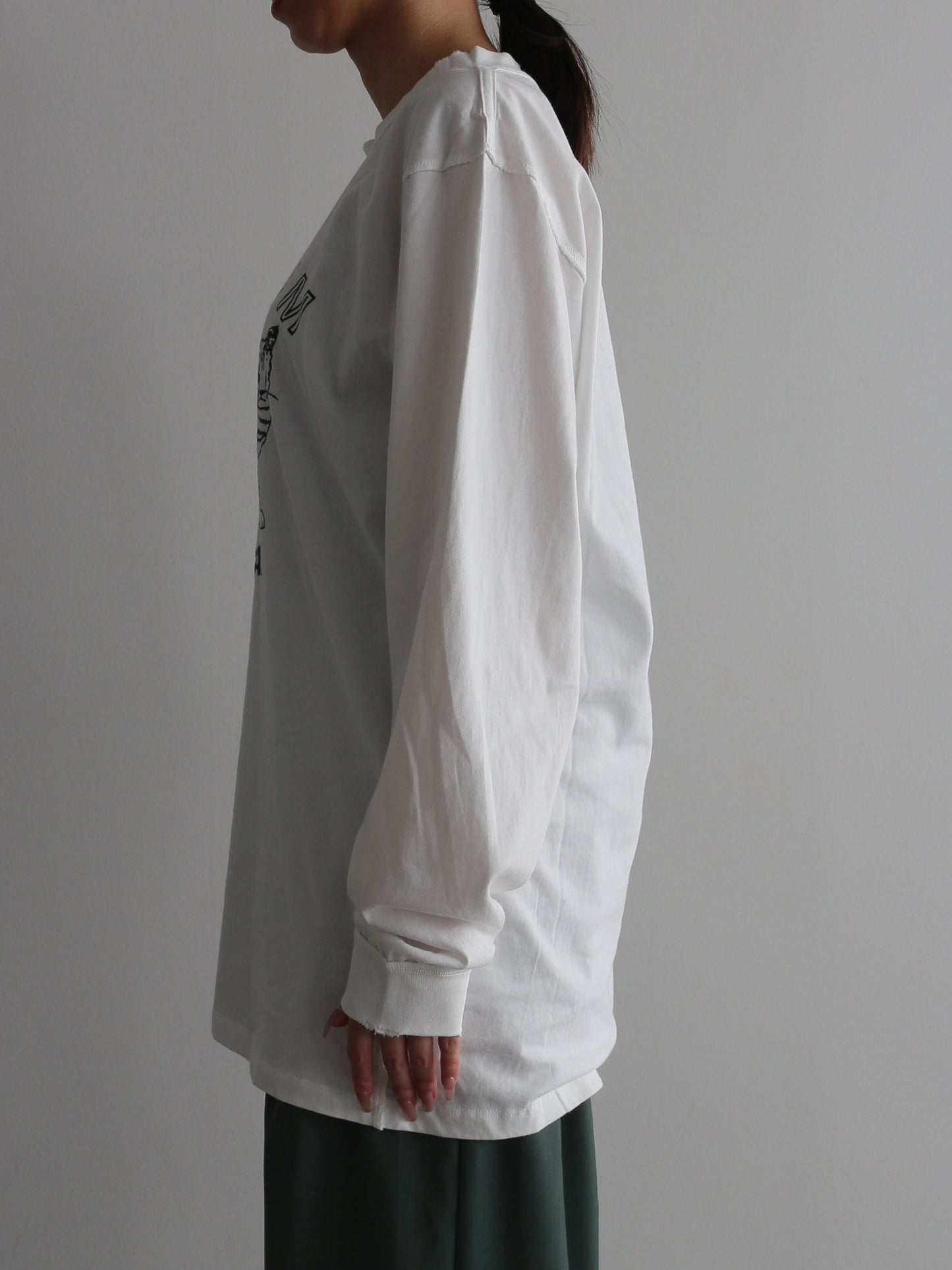 ピグメントロンT