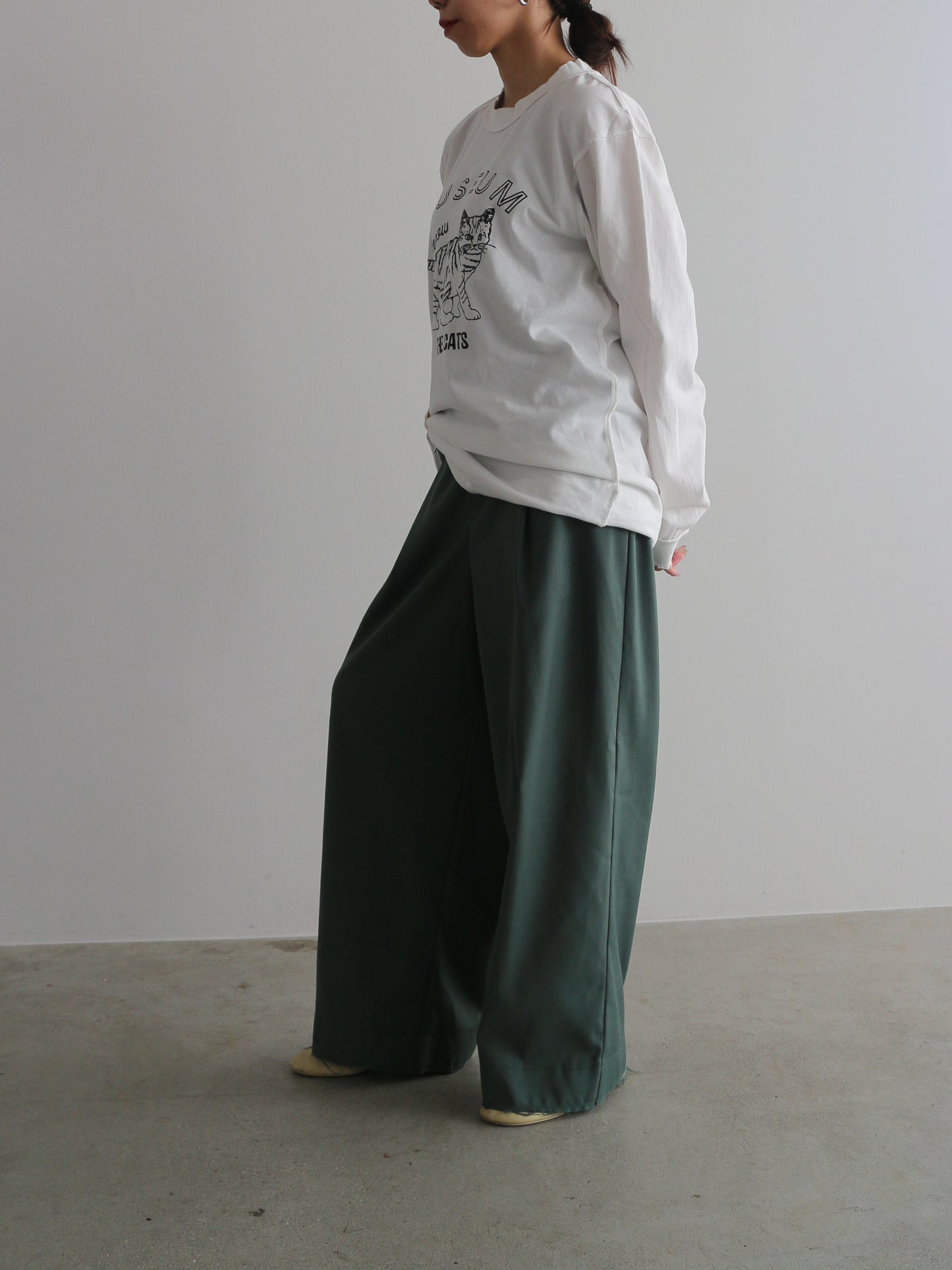 ピグメントロンT