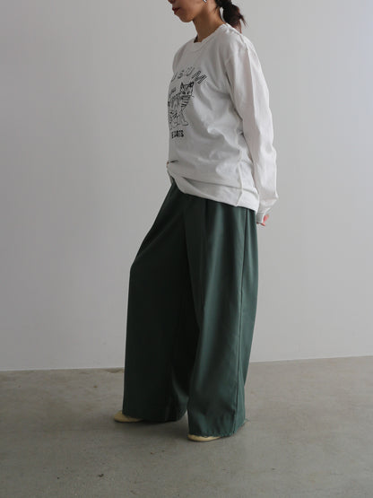 ピグメントロンT