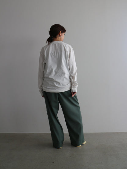 ピグメントロンT