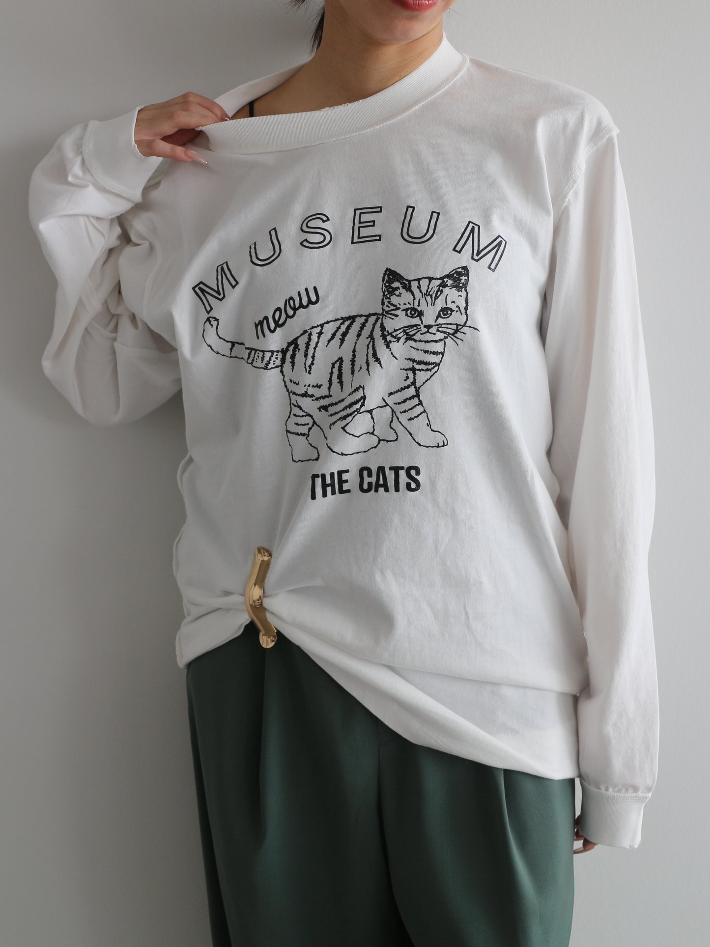 ピグメントロンT