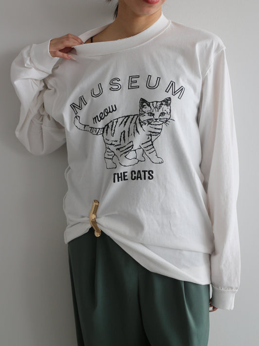 ピグメントロンT