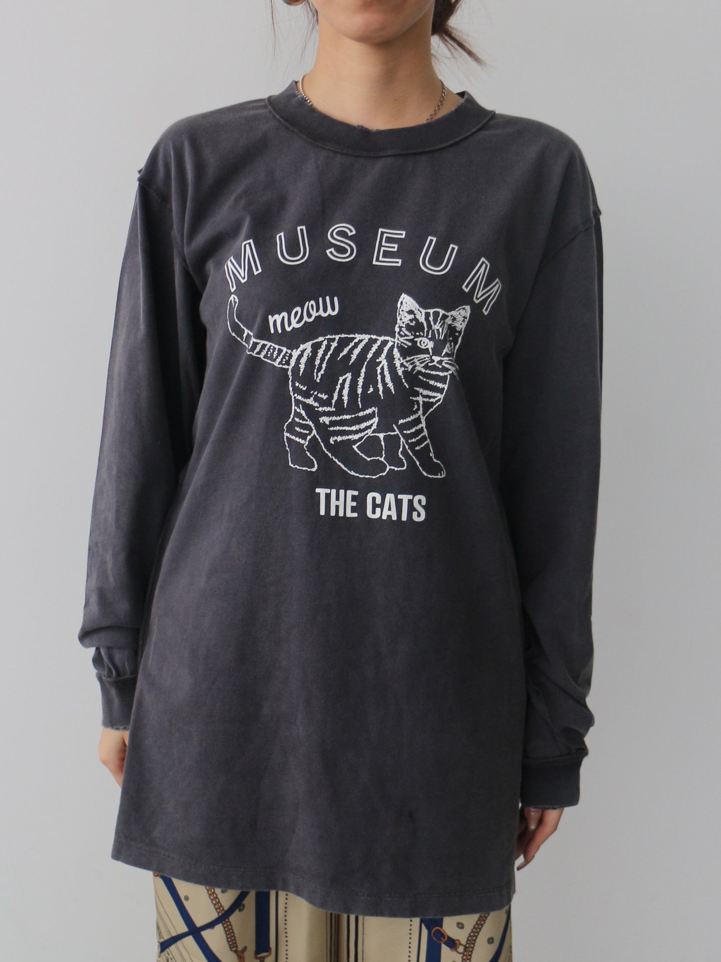 ピグメントロンT