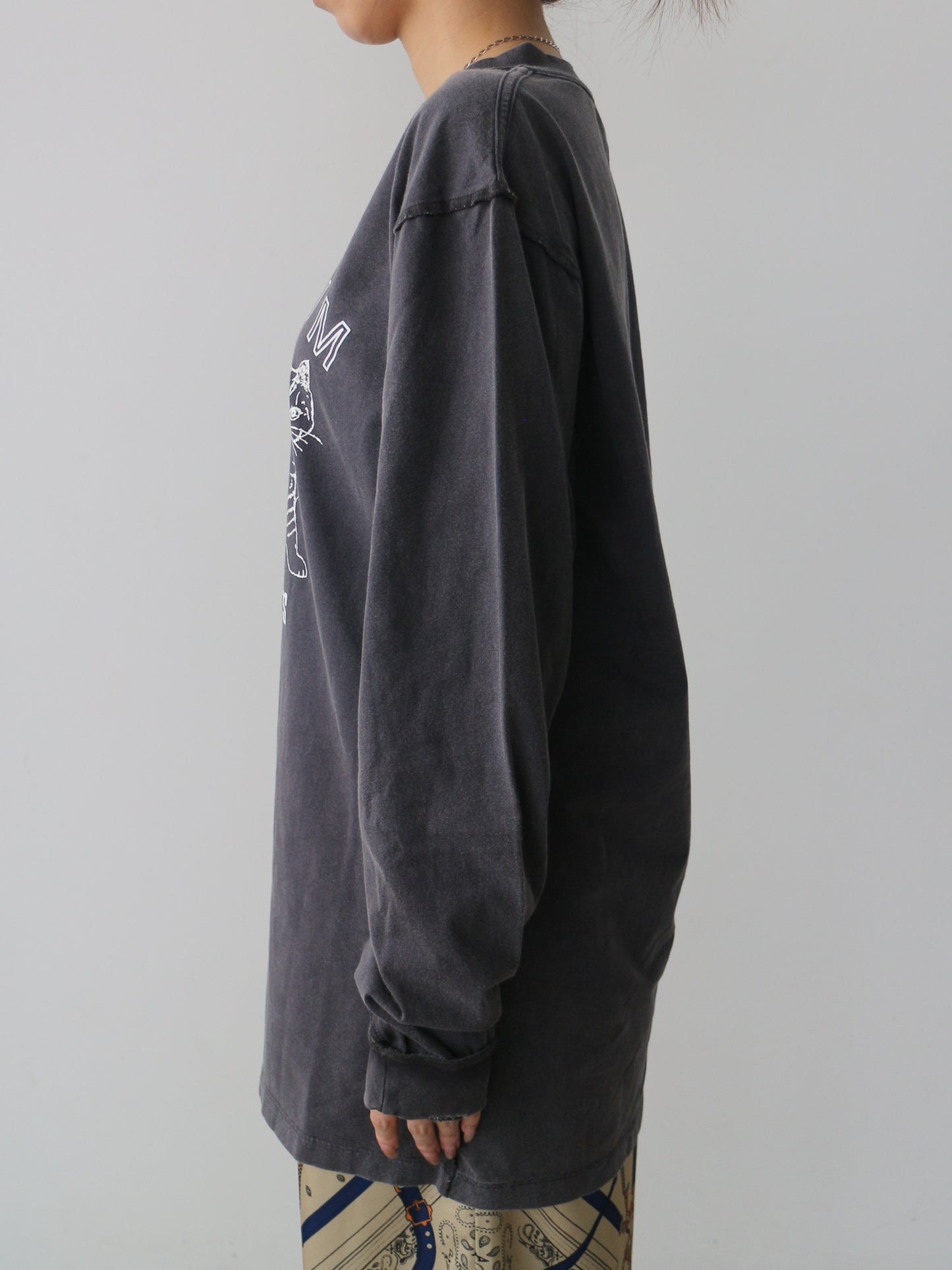 ピグメントロンT