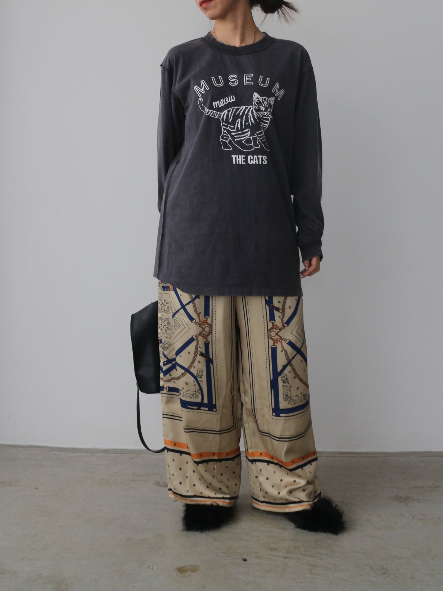 ピグメントロンT