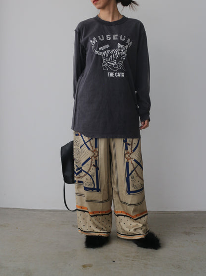 ピグメントロンT