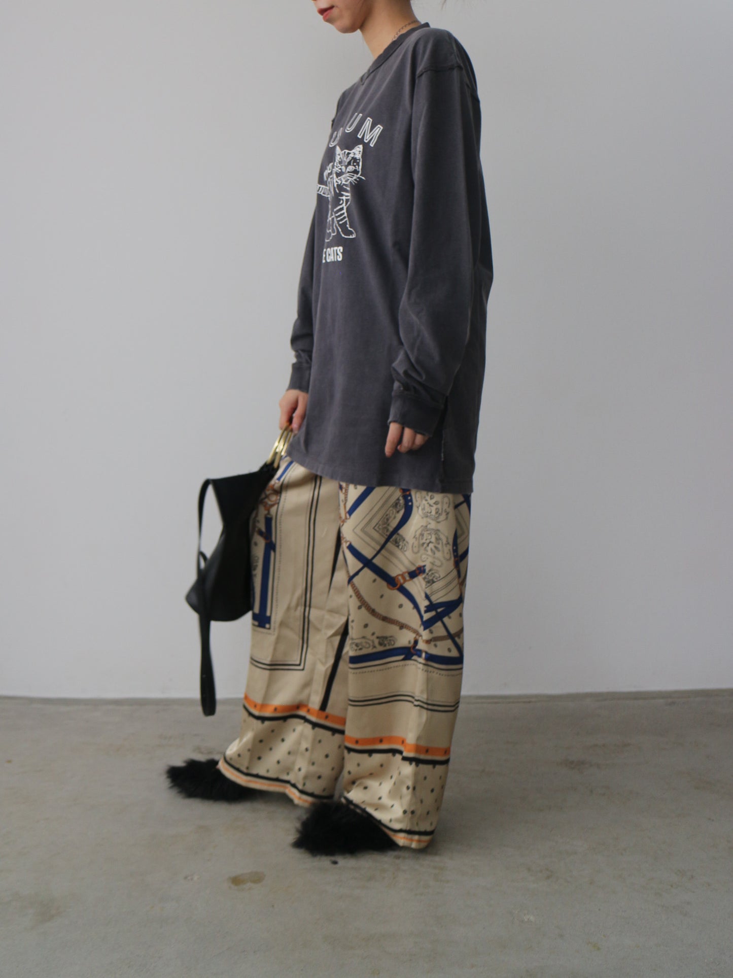 ピグメントロンT