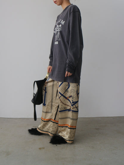 ピグメントロンT