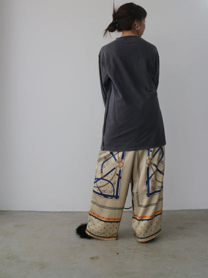 ピグメントロンT