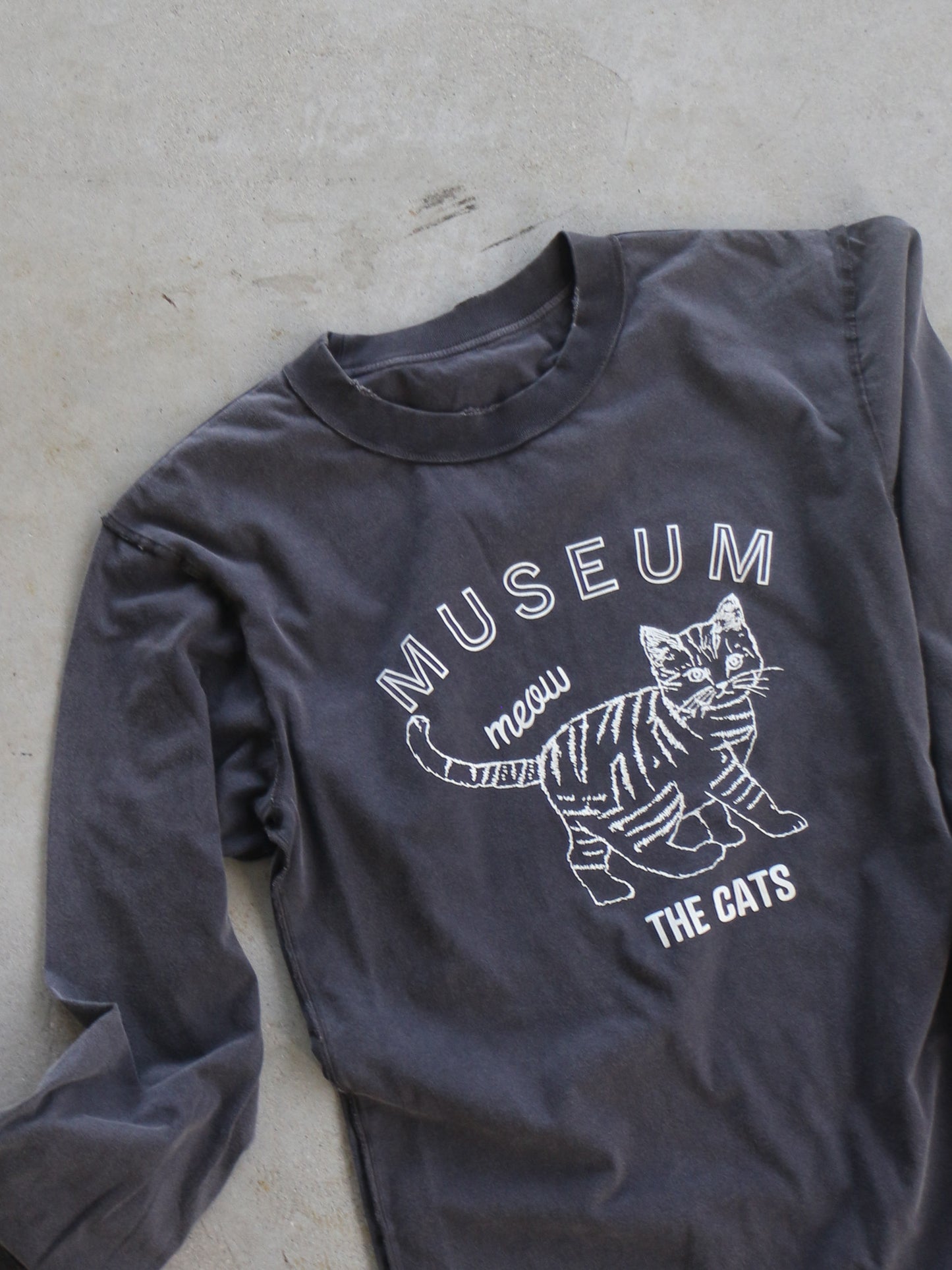 ピグメントロンT