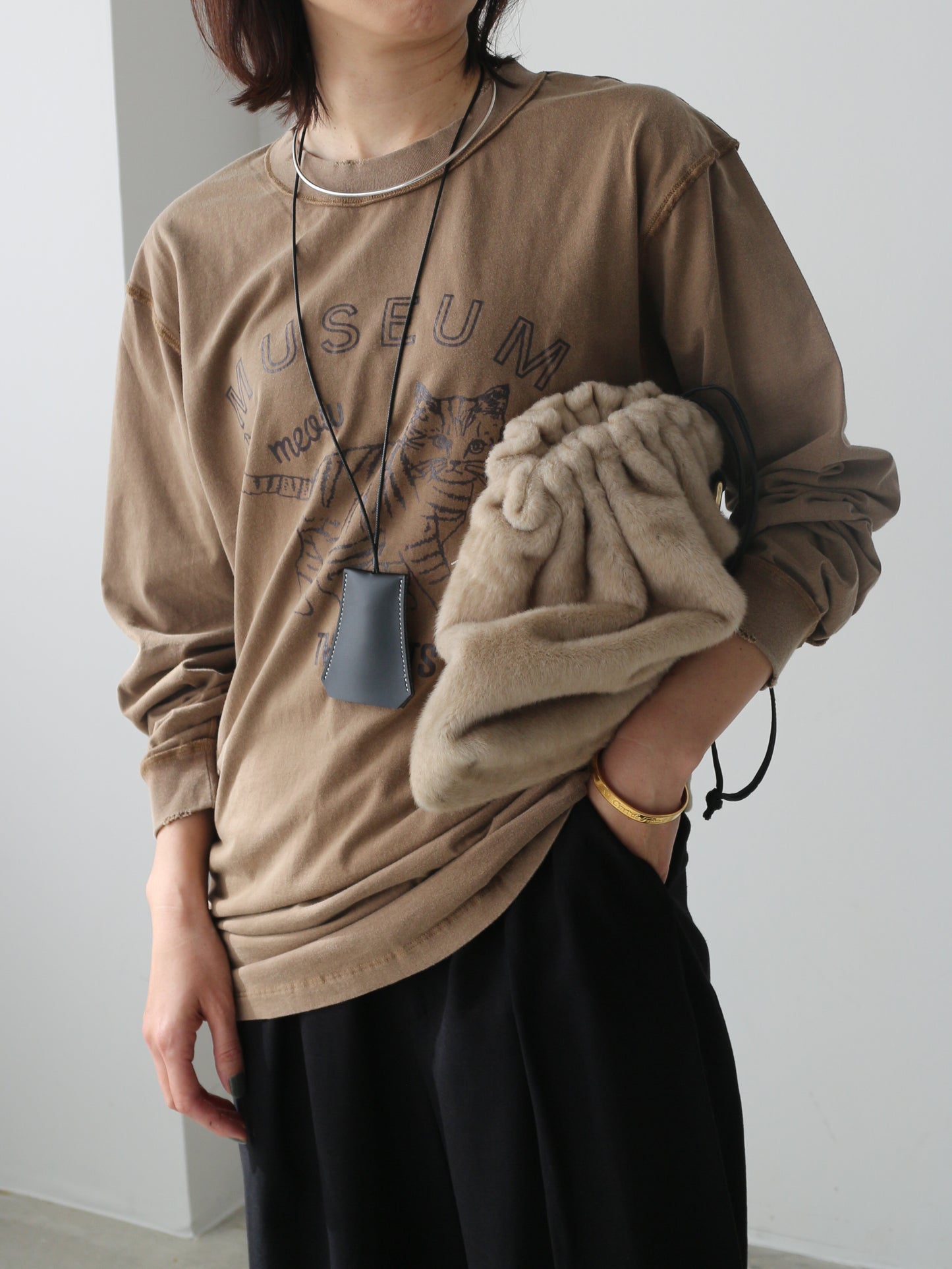 ピグメントロンT